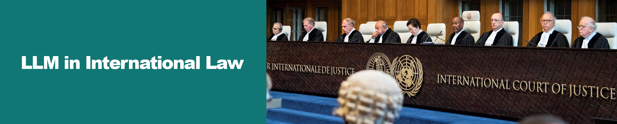 Llm In International Law In India